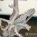 남중동-62 이미지