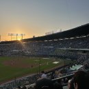 224 | 잠실야구장 3루 레드석 224블럭 시야 직관 후기 12열