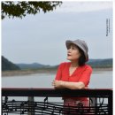 불갑저수지수변공원 이미지