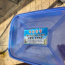 천남리 | 강원도 최대규모 동물원 /강릉 동물농장(찐강추)알차게 놀다옴! 아이와 가기 좋은 곳/주차장대빵큼