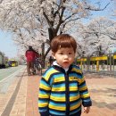 민성