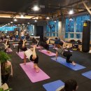 웰빙요가(오전) 이미지