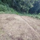 양도면-9 이미지