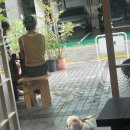 지에스25 방배내방점 | 내방역 브런치 맛집 해브 방배｜촉촉한 잠봉뵈르 포카치아 샌드위치 내돈내산 후기