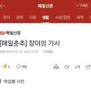 [매일춘추] 장미의 가시/박상봉 이미지