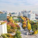 서강대학교2