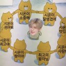 팝팝 이미지