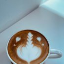 파인그로브 이미지