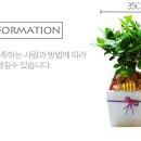 남양꽃집힐링플라워