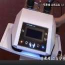 푸른셀