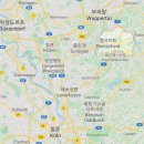 뢴트겐라인 이미지