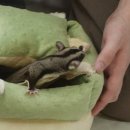 (주) 하늘펫 이미지