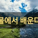 물처럼 바람처럼 이미지