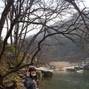 새들펜션캠핑장 이미지