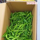 경진상회