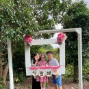 제주족대 | 제주여행 4일차 / 김녕 아이와 가볼만한곳 김녕미로공원 / 제주 구좌 고양이카페 카페리 / 제주 아이와...