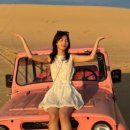 예진목장 이미지