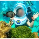 수중산책 이미지