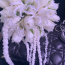 ♡⊹wedding day in 서울웨딩타워⊹♡ 에이바이봄 주은 지니 원장님, 아이폰스냅 밀리스냅 후기