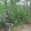 상산약수터 이미지