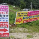춘심이네 식당 네이버블로그