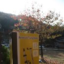 아이스휠