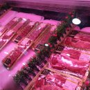 대전정육점 | [대전 정육점] 베스트육가공 방문 후기 – 신선한 고기 냄새부터 다르다!