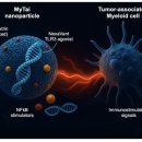 한양대 유도 이미지