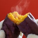 정수농장 | 꿀맛농장 25년 햇고구마 해남 꿀고구마 베니하루카 솔직 후기: 왜 &#39;인생 고구마&#39;인지 직접 먹어봤어요!