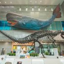 (주)서린골프 이미지