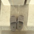 좌동산책길 | 해운대 피부관리 베니어스파｜슈티컬스 진정케어로 뒤집힌 피부 진정시키고 온 재방문 후기