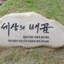 기억의대지 이미지