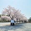 이상복 경주빵(보불로점)