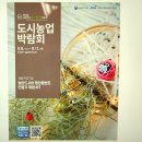 행잉플랜트 공기정화식물체험 이미지