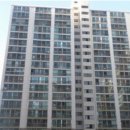 사파동203 이미지