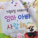 쿠쿠베베