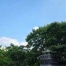 효원주유소 | 수원 효원공원 월화원 산책 후기 도심 속 중국식 정원의 매력