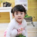블링스토리 Daum카페