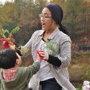 돈수농장 이미지