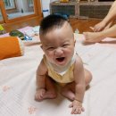 단국대 나래태권도 이미지