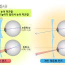 란안경원 이미지