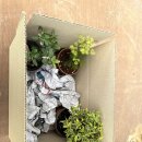 전식농장 이미지