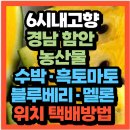 백자슈퍼