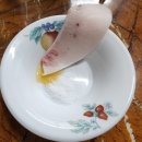 독도참치 이미지