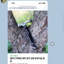 캠핑고래 군산점 이미지