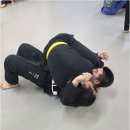 화랑체육관 | 초중고부터 성인까지 감동을 주는 금촌화랑 주짓수와 합기도 체험기