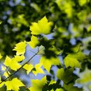 법인고려축산