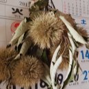 모닝스타(주) 이미지