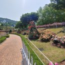 창조행정사사무소 이미지