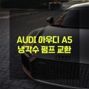 대관령 모터스 이미지